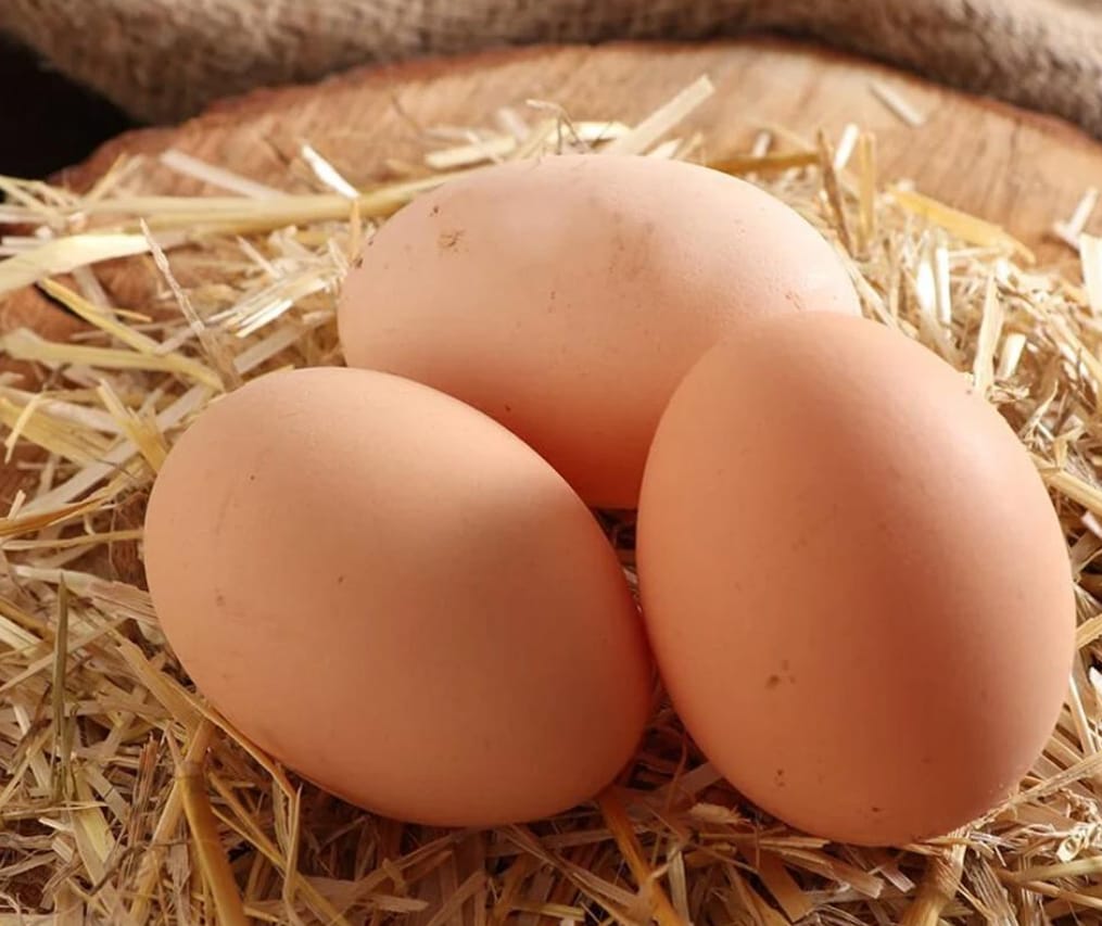 Gür Kardeşler Şarküteri